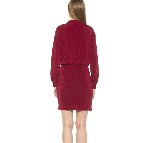 Alexia Admor Burgundy Button Down Long Sleeve Avril Dress Size M - Picture 2 of 6